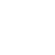 Executados